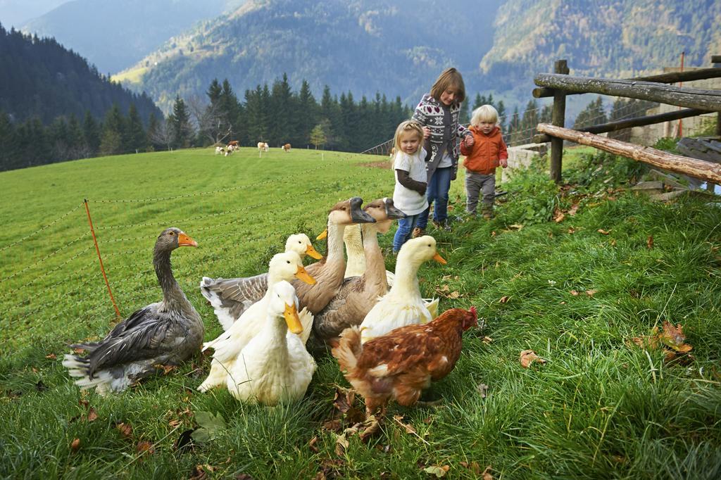 リュブノ Tourist Farm Kladjeヴィラ エクステリア 写真